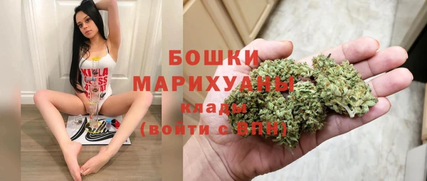 PSILOCYBIN Аркадак