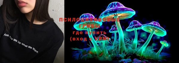 PSILOCYBIN Аркадак