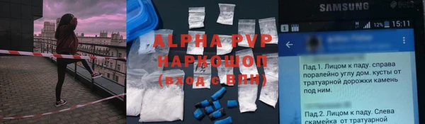 PSILOCYBIN Аркадак