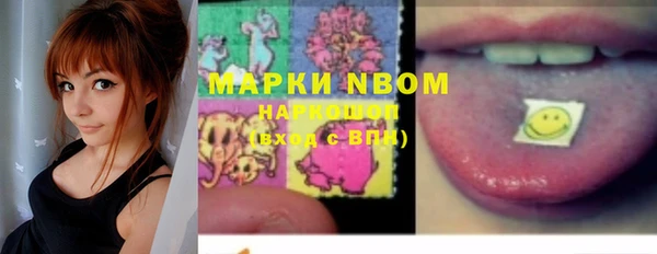 PSILOCYBIN Аркадак