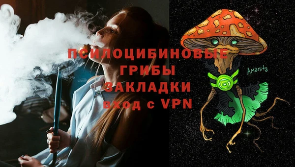 спиды Пестово
