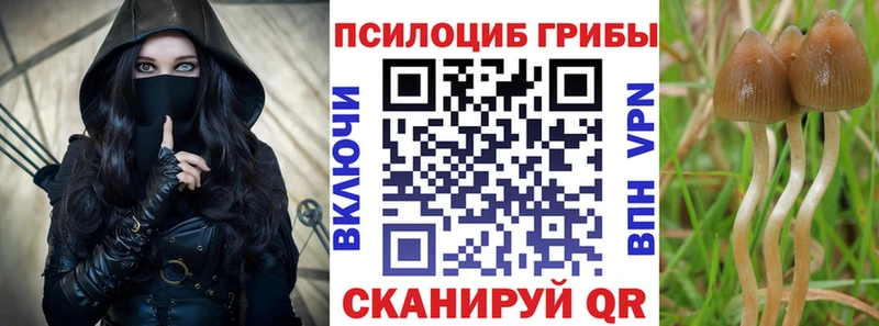 blacksprut как войти  Светлоград  Псилоцибиновые грибы ЛСД  дарнет шоп 